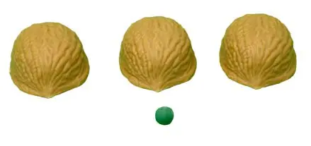 Three Shell Game Vernet (0503-w3)
