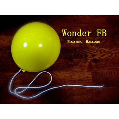 Wonder Floating Balloon by RYOTA (3533X13)