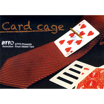 Card Cage by Hideki Tani (2153-W9)