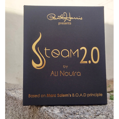 Steam 2.0 by Ali Nouira & Paul Harris (4068)