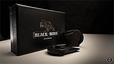 Blackbird by Jeff Copeland (4132)