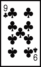 Chameleon Prediction Card Black (2036)