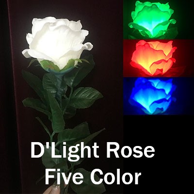 D'Light Rose Five Color (4914-Z2)