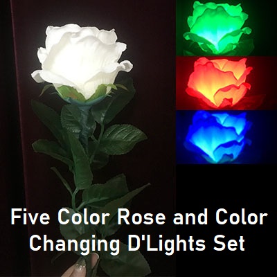 Five Color Rose and Color Changing D'Lights Set