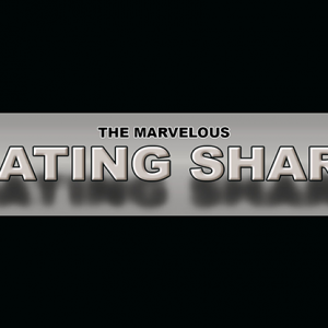 The Marvelous Floating Sharpie by Matthew Wright (4981)