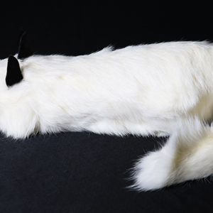 White Fox Spring Animal by Magic Masters (4714-Y8)