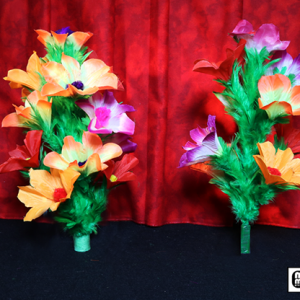 Double Flower Bouquet by Mr. Magic