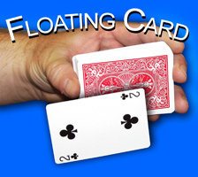 Floating Card a la Hover Card (1284)
