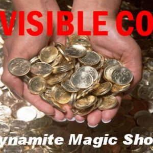 Invisible Coin (2753)