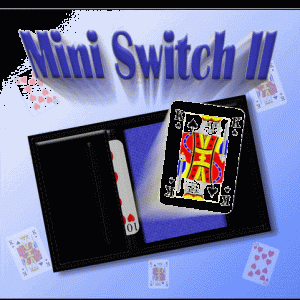Mini Switch II (2350)