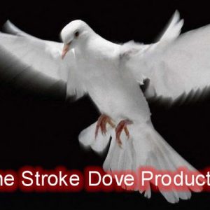 One Stroke Dove Production