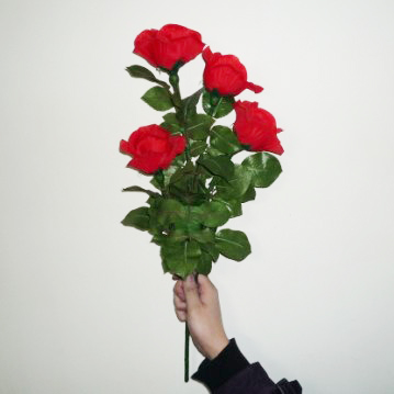 D'Lite Rose Bouquet (3344Y4)
