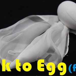 Silk to Egg Fast (Motorized) by Himitsu Magic (4330)