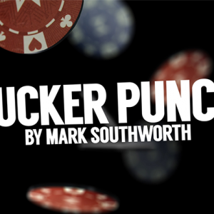 Sucker Punch by Mark Southworth (4236)