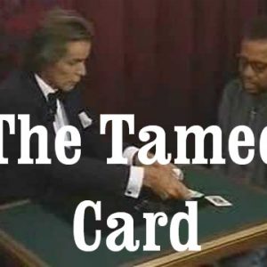 The Tamed Card Cardset (2503)