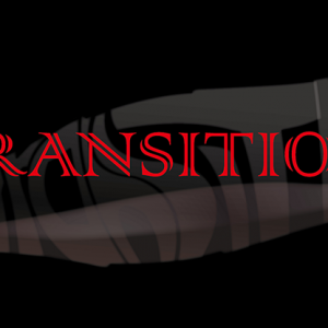 Transition by Way and Himitsu Magic (4623)