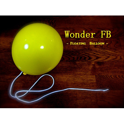Wonder Floating Balloon by RYOTA (3533X13)